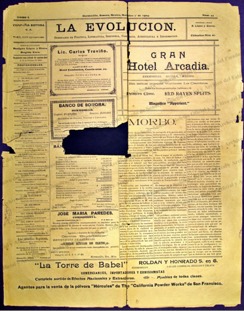 Imagen: La Evolución