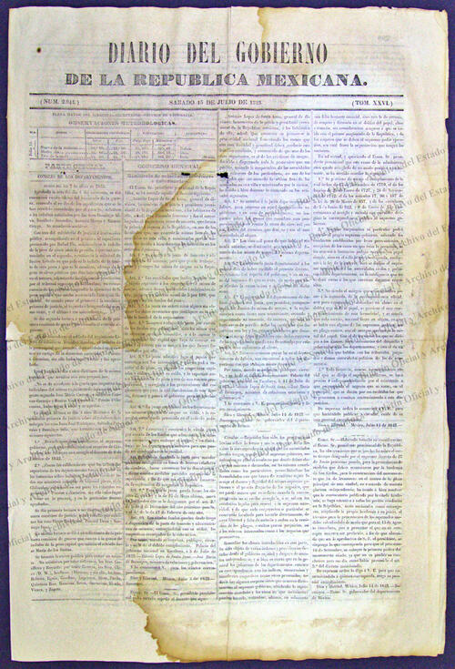 Imagen: Diario del Gobierno de la República Mexicana